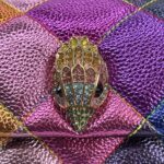 Cartera Kurt Geiger - Imagen 8