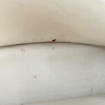 Cartera Balenciaga - Imagen 14