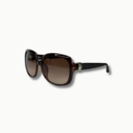 Lentes de sol Salvatore Ferragamo