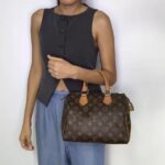 Cartera Louis Vuitton - Imagen 10