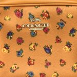 Cartera Coach - Imagen 7