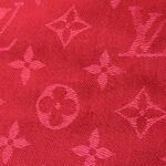 Pashmina Louis Vuitton - Imagen 5