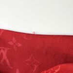 Pashmina Louis Vuitton - Imagen 9