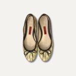 Ballerinas Carolina Herrera