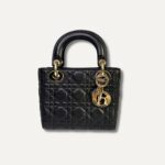 Cartera Christian Dior